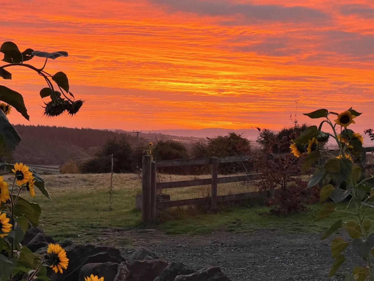 Penburren At Minster Farm West Διαμέρισμα Χέρεφορντ Εξωτερικό φωτογραφία